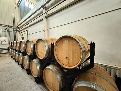 新疆千回西域葡萄酒業上半年經濟運行穩中向好