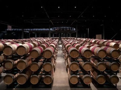 青銅峽市葡萄酒產(chǎn)業(yè)專家服務(wù)基層活動啟動