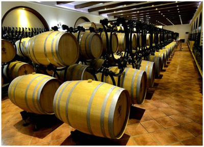 【福利貼】快樂成長(zhǎng)夏令營(yíng)火熱招募中!