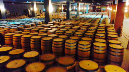 【張掖企業(yè)家日】甘肅祁連葡萄酒業(yè)有限責任公司:&ldquo;釀&rdquo;出高質量發(fā)展新氣象